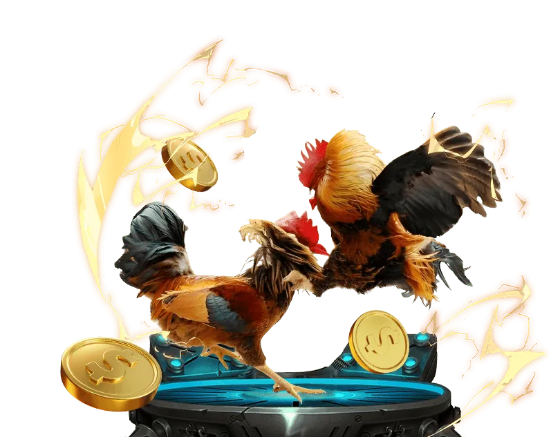 Hoàn trả hàng ngày vsbet